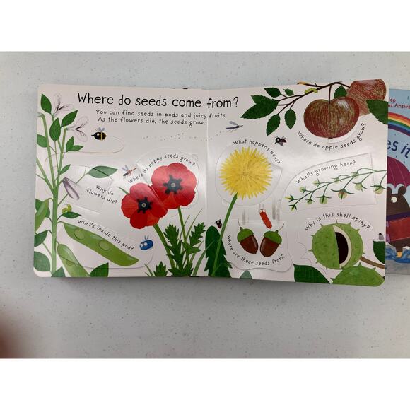 Lot of 2 Usborne Lift The Flap First Questions & Answers Rain Flowers Kids Books - Picture 6 of 7